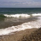 Betsy McCarthy's photo