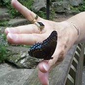 Claudia Stucke's photo