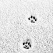 Darlene Vreven's photo