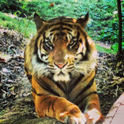 Thomas Lynch's photo