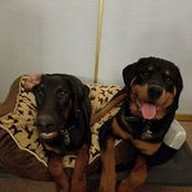 Matt Boutin's photo