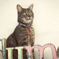 Photo de profil de PLUME