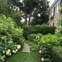 Landscape Ideas