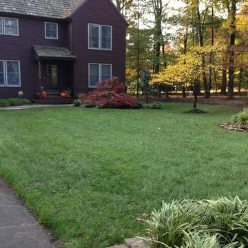 Fall Clean Up 2