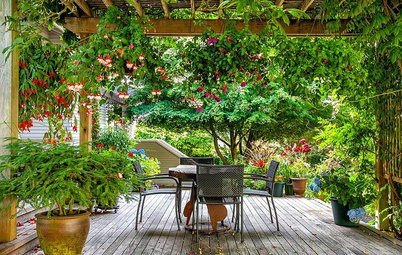 Take it Outside: Setting Up the Perfect Outdoor Office