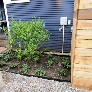 Herbs and Pond...beautiful hand made brick!