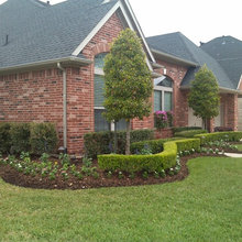 Landscapping