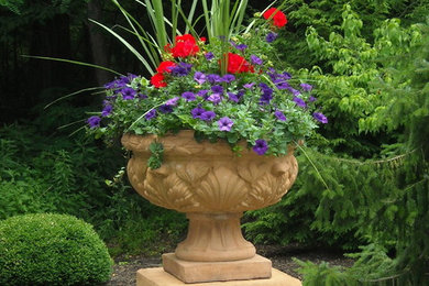 This is an example of a traditional landscaping in Indianapolis.