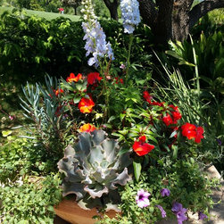 Landscaped Pots - Products