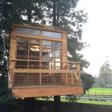 Petaluma Treehouse