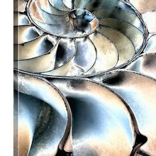art spirals