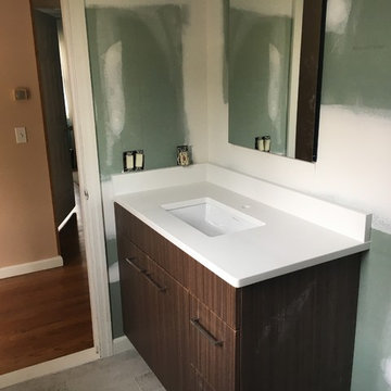 chocolate flat panel vanity.