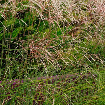 jardin exotique