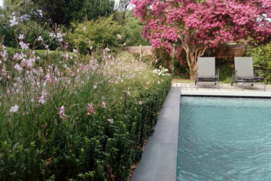 Cette image montre un jardin arrière design de taille moyenne et l'été.