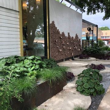 South Congress Landscape