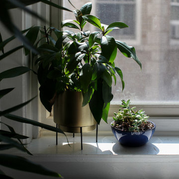 My Houzz: Bright and Airy 1920s Chicago Walk-Up Apartment