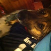 JoAnn Langkopf's photo