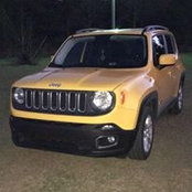 Wendy Rogers's photo