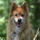 Abby Billings's photo