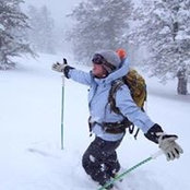 Tracy Hiatt's photo