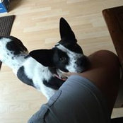 Vicky Bridges's photo