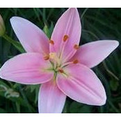 Jeanette Beekman's photo