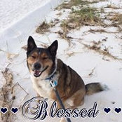 Kim Grieb's photo