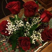 Kim Miller's photo