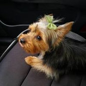 Barbara Quinn Yakeen's photo
