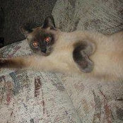 Christa Phillips's photo