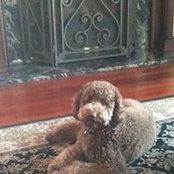 Susan Hoffman's photo