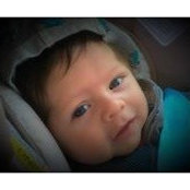 Matthew Stephanys foto