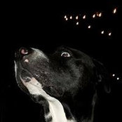 James Oliver's photo