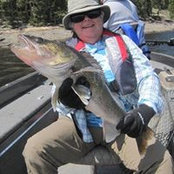 Sharon Easley's photo