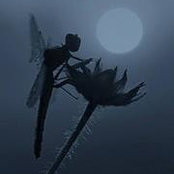 Sharon Joseph's photo