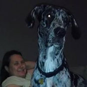 Kathy Madrigal's photo