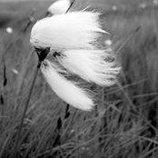 Hà Hà's photo