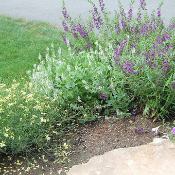 Farmington Garden Pathway