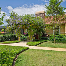 Back of the house garden