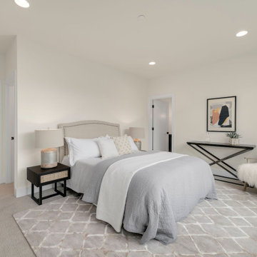 Harlow | Bellevue