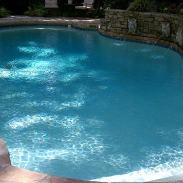 Atlanta Metro Custom Pool Renovations - Arctic White PebbleSheen