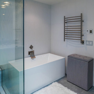 Contemporary Sleek Spa-Inspired Bathroom