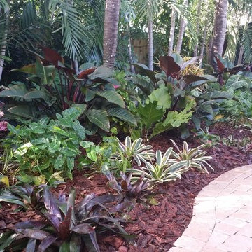 Tropical Paradise - Backyard Makeover