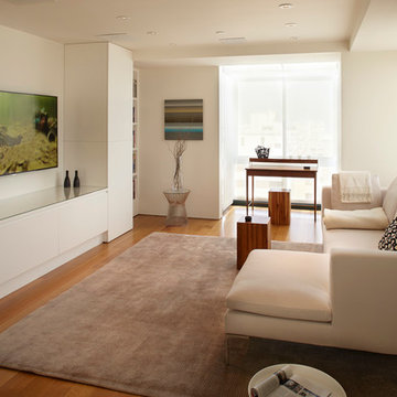 Pacific Heights penthouse remodel