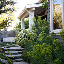 Yard Ideas