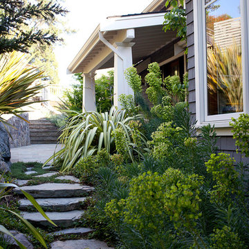 San Anselmo Hillside