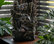 14" Tall Indoor Tiered Log Tabletop Fountain with LED Lights