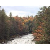 Jon Dingess's photo