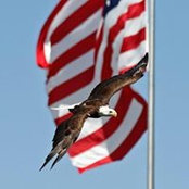 Sharon Erdmanczyk's photo