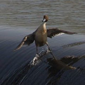David Styan's photo